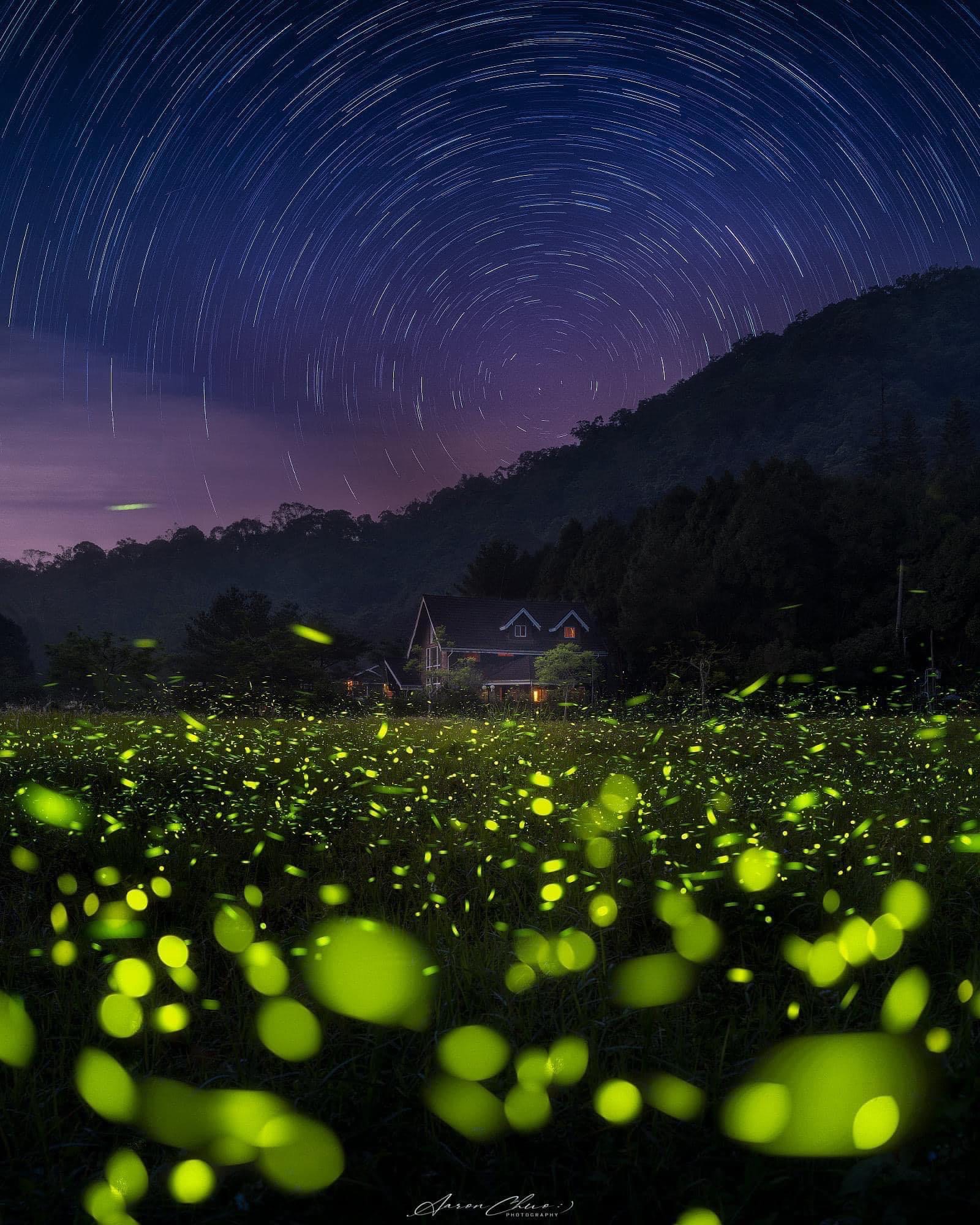 💫〚來大林賞螢吧〛