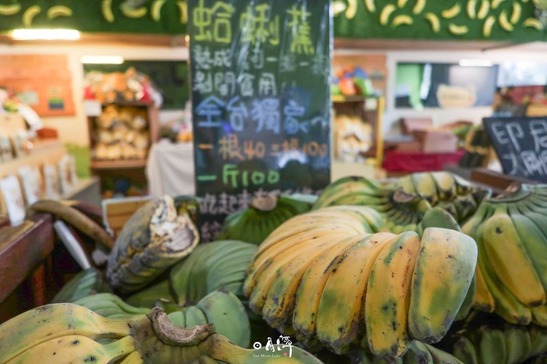 💥〚全台第一個山蕉主題的觀光工廠⁉️〛系列1/5