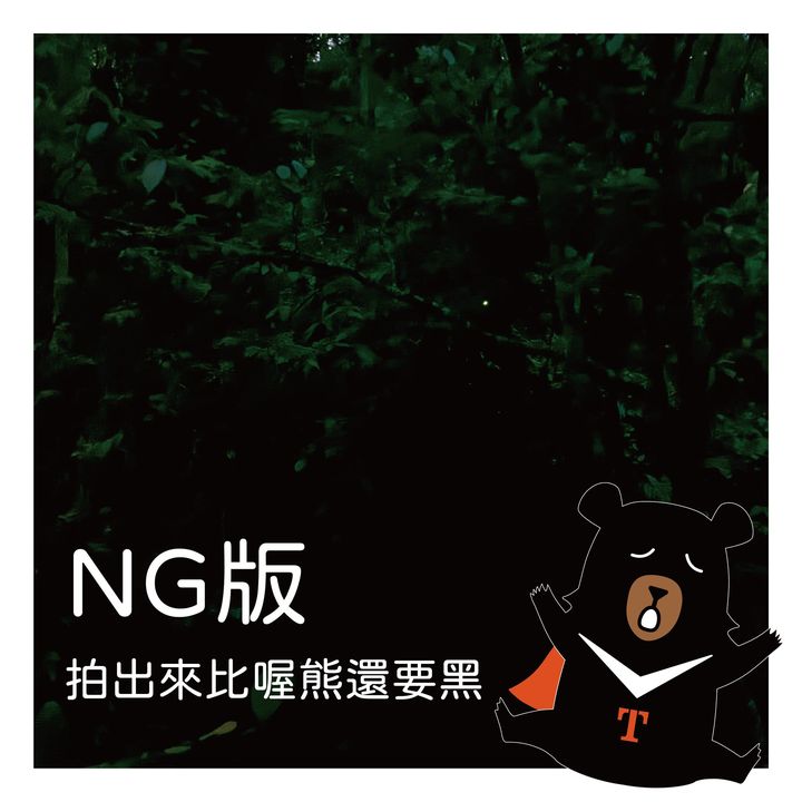 🥁〚螢火蟲到底要怎麼拍才不會比喔熊黑😫 〛