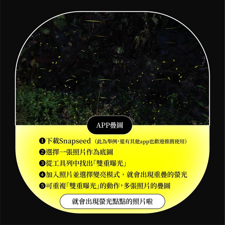🥁〚螢火蟲到底要怎麼拍才不會比喔熊黑😫 〛系列3/5