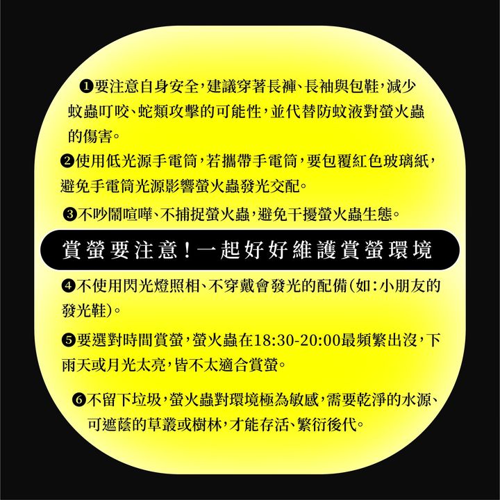 🥁〚螢火蟲到底要怎麼拍才不會比喔熊黑😫 〛系列4/5