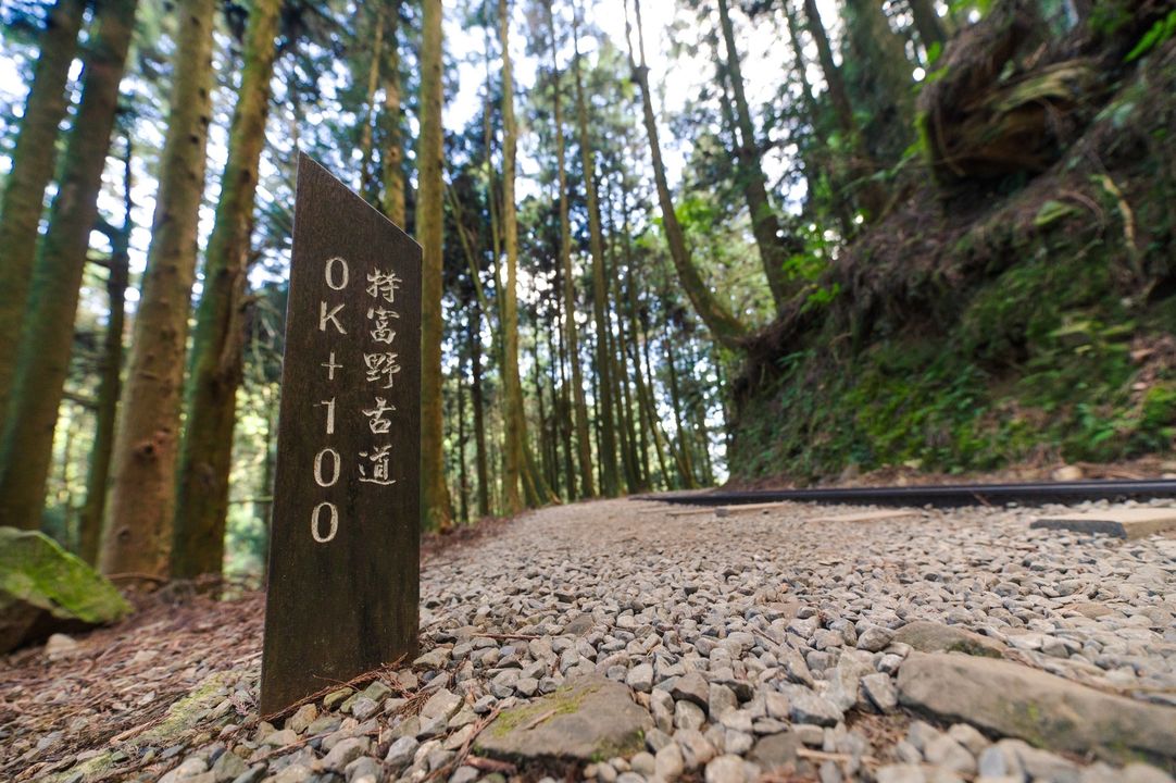 🖼〚敲碗成功🥣日阿線真的加開了〛系列2/5