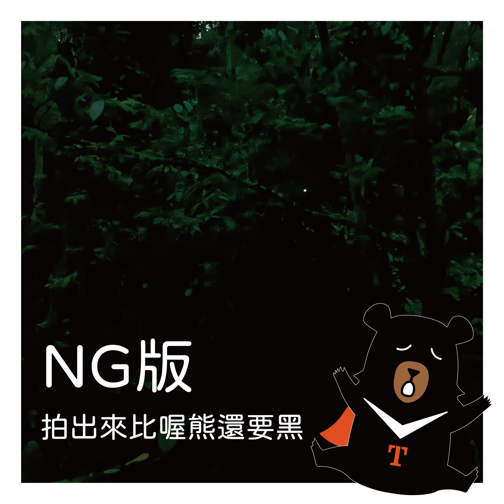 🥁〚螢火蟲到底要怎麼拍才不會比喔熊黑😫 〛