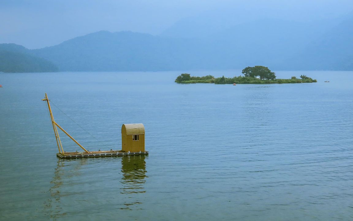 🔎〚捕魚智慧再✚𝟭〛