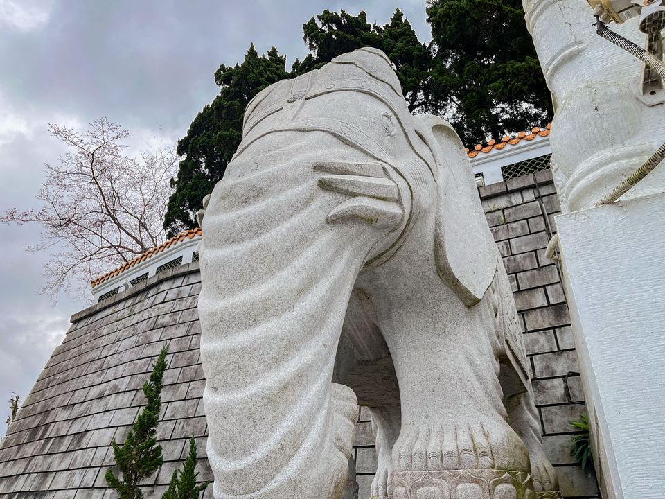 🔎〚坐鎮環潭公路的六牙白象〛系列2/6