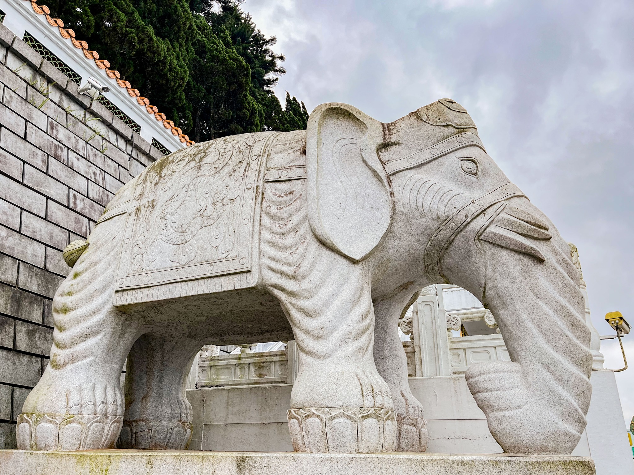 🔎〚坐鎮環潭公路的六牙白象〛