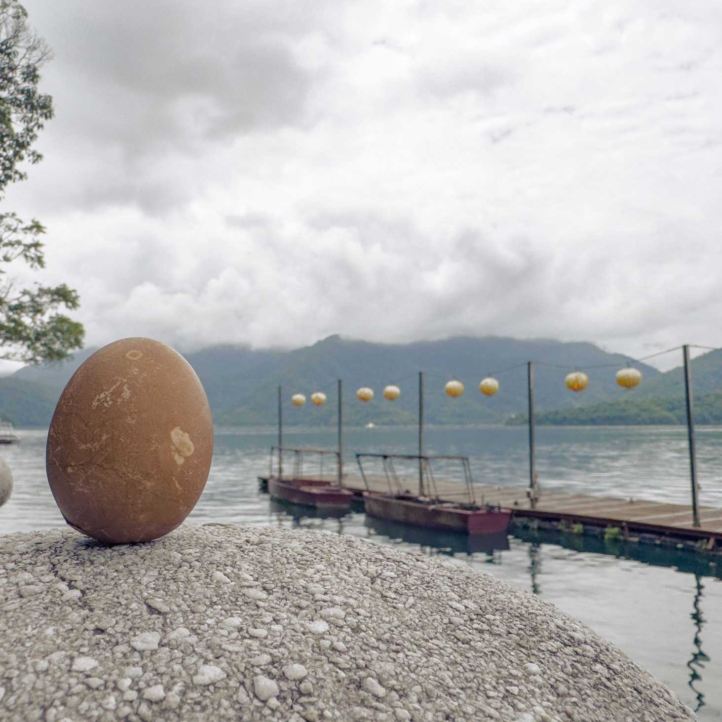 🤡〚你今天立蛋了嗎？〛