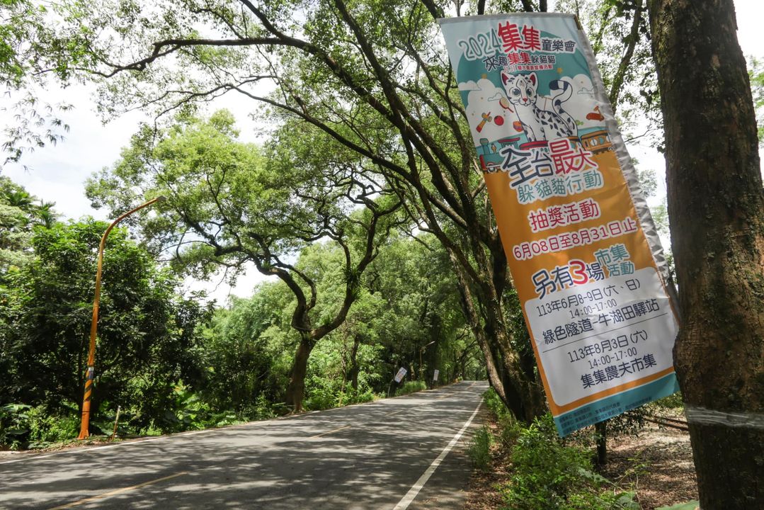 💫〚全台最大躲貓貓行動？〛