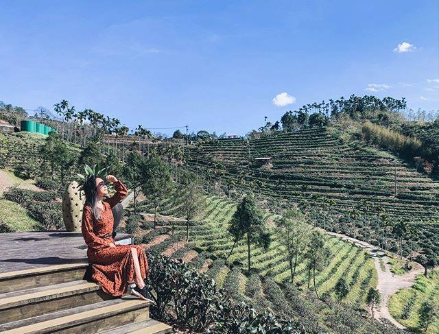 山上空氣好到讓人心曠神怡💕