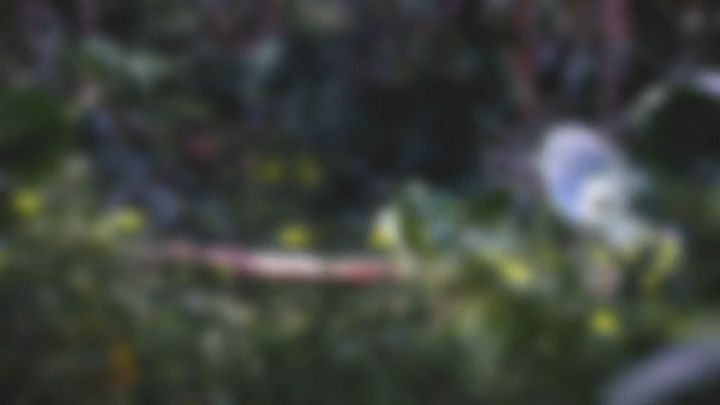 💫〚2024 #ComeBikeDay 花火音樂嘉年華🔥登場🔥〛