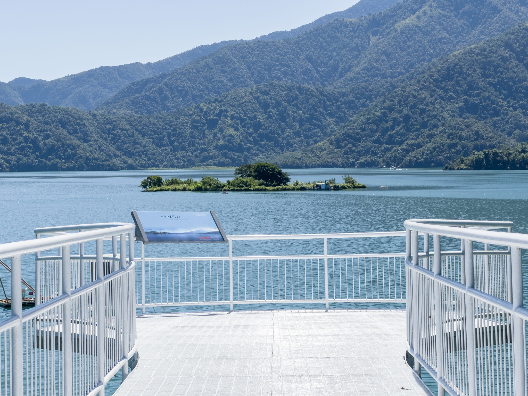 💥〚小心‼️美麗的陷阱〛