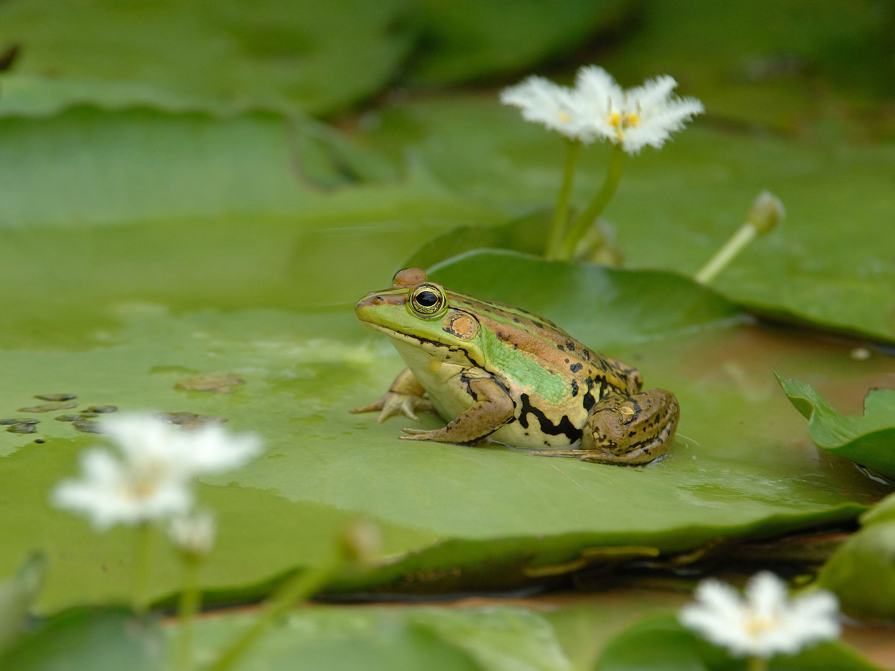 💥〚曾經當地人玩笑稱  窮到連鬼都不敢去的地方😱〛