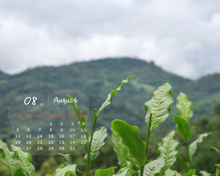 8月到 #南投 怎麼玩