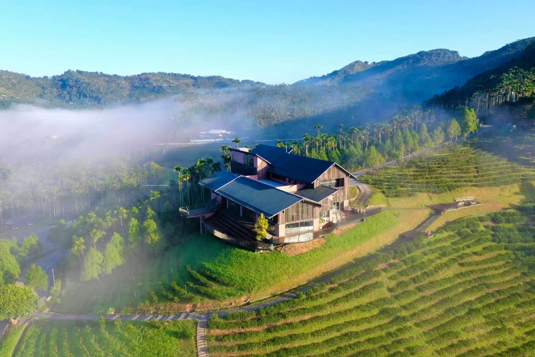 😋〚整個魚池，就是你的咖啡館〛