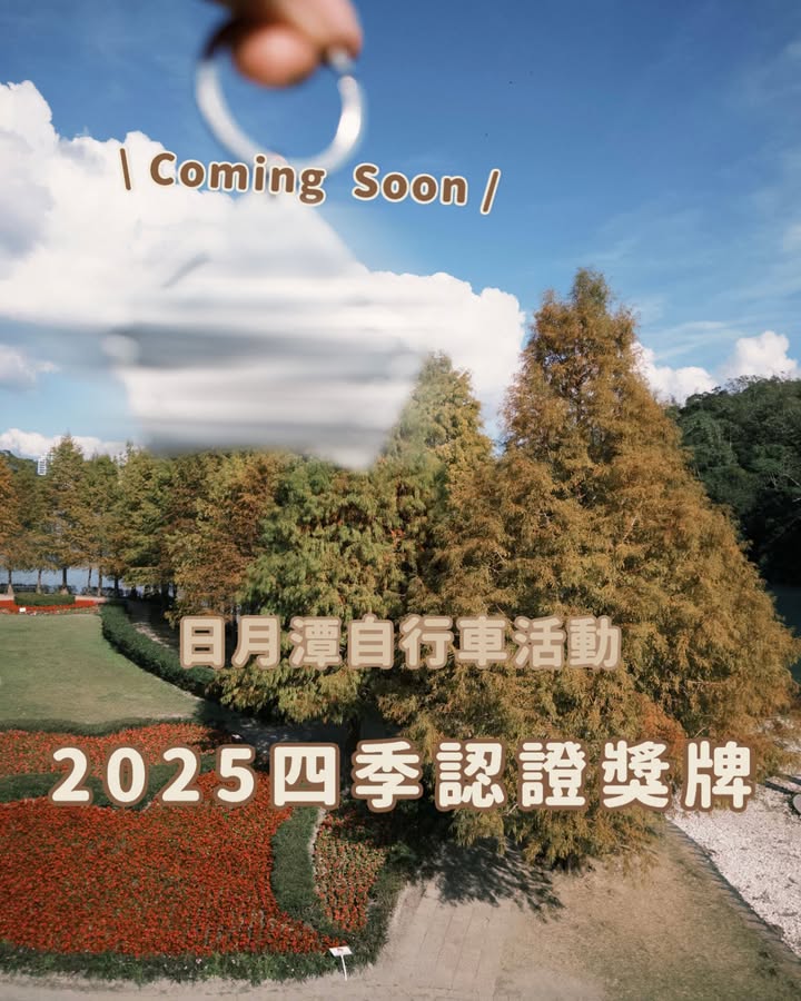 💫〚變色的落羽松捎來好消息❤️‍🔥〛