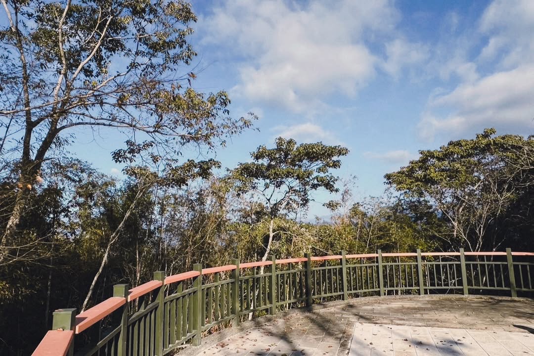 💥〚貓囒山步道真的開放了啦😃〛系列4/6