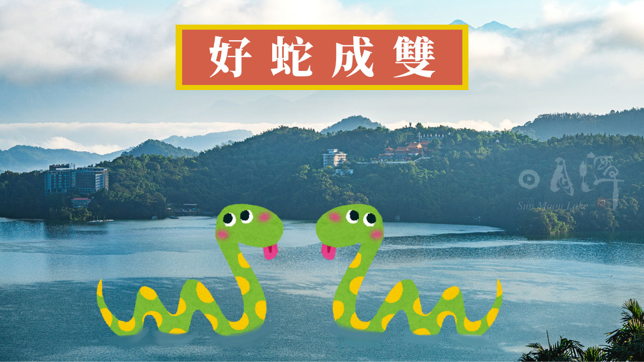 🤡〚終於是蛇候了🐍〛