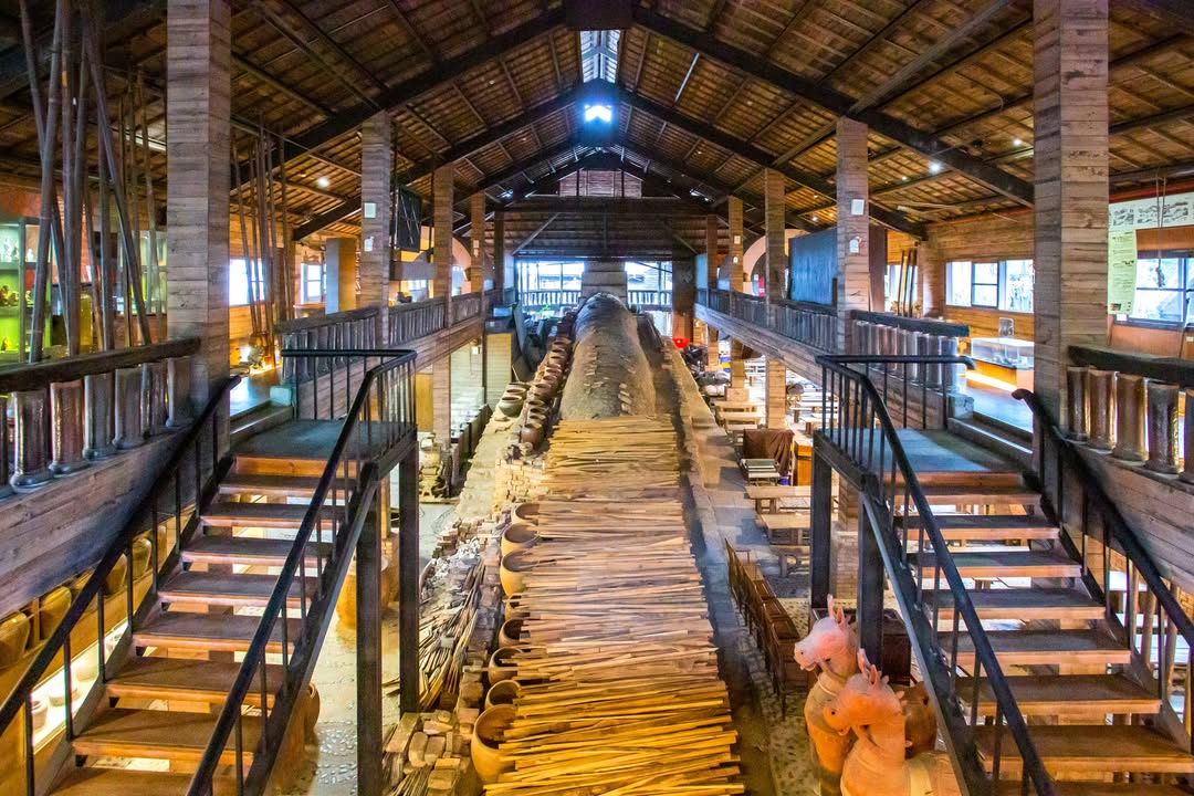 💥〚活超過百年的蛇⁉️〛