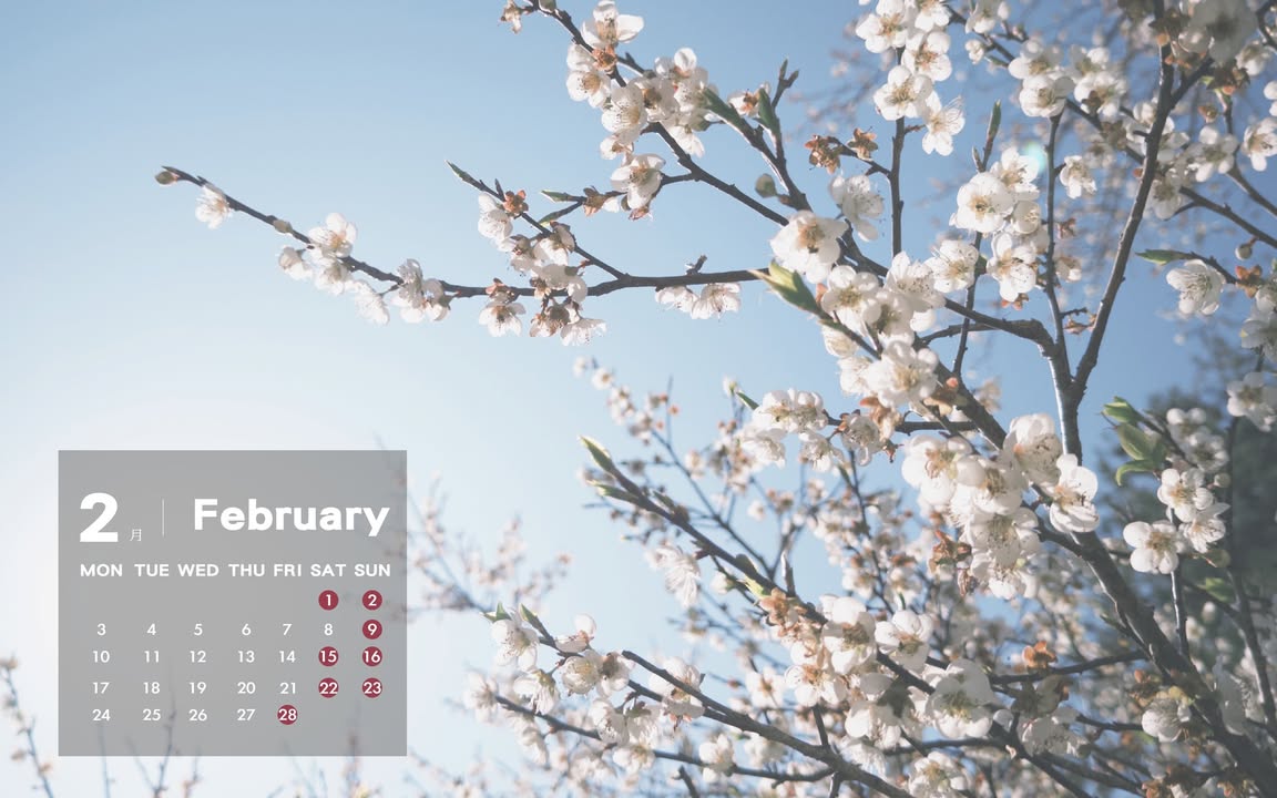 2月到 #南投 賞花看燈會