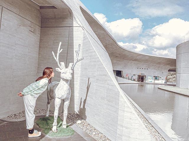 大家有發現向山有隻白鹿嗎?