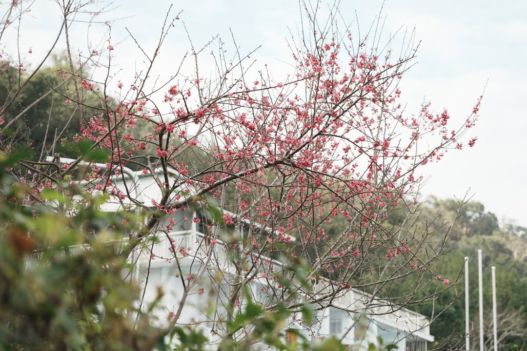 💫〚在日月潭最浪漫的事之一〛