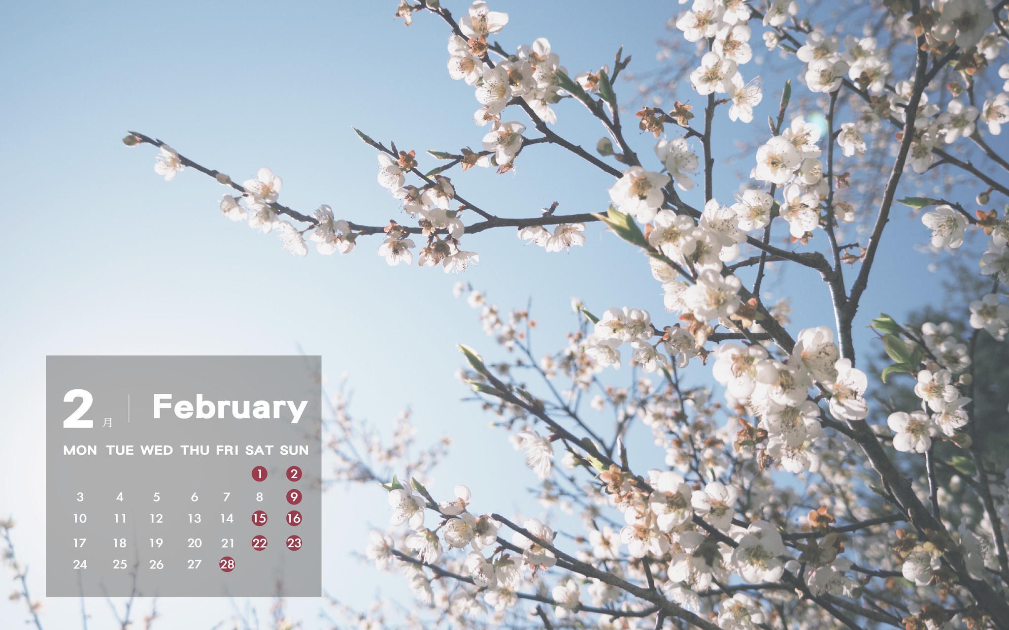 2月到 #南投 賞花看燈會