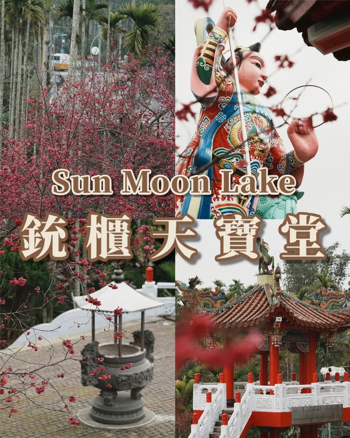 💥〚住在櫻花園裡的太子元帥〛