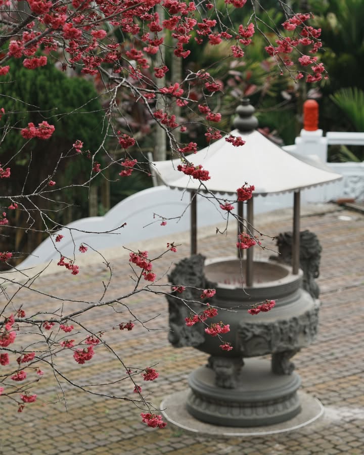💥〚住在櫻花園裡的太子元帥〛系列1/7
