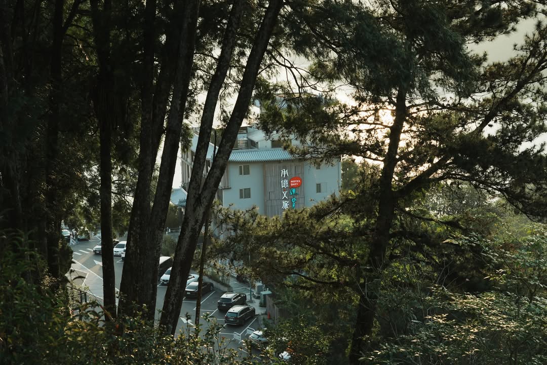 💥〚連外國人都愛去的 #文武廟〛系列3/5
