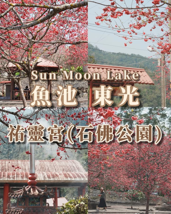 💥〚最近一直被櫻花版面洗版的請➕1〛系列9/9