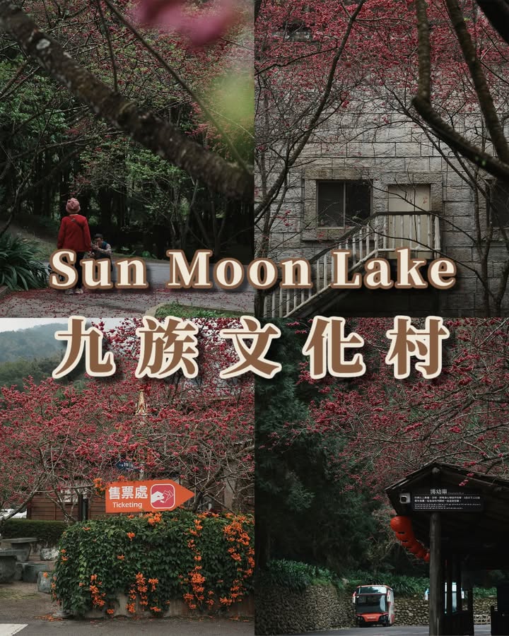 💥〚#228連假 享受粉色假期〛