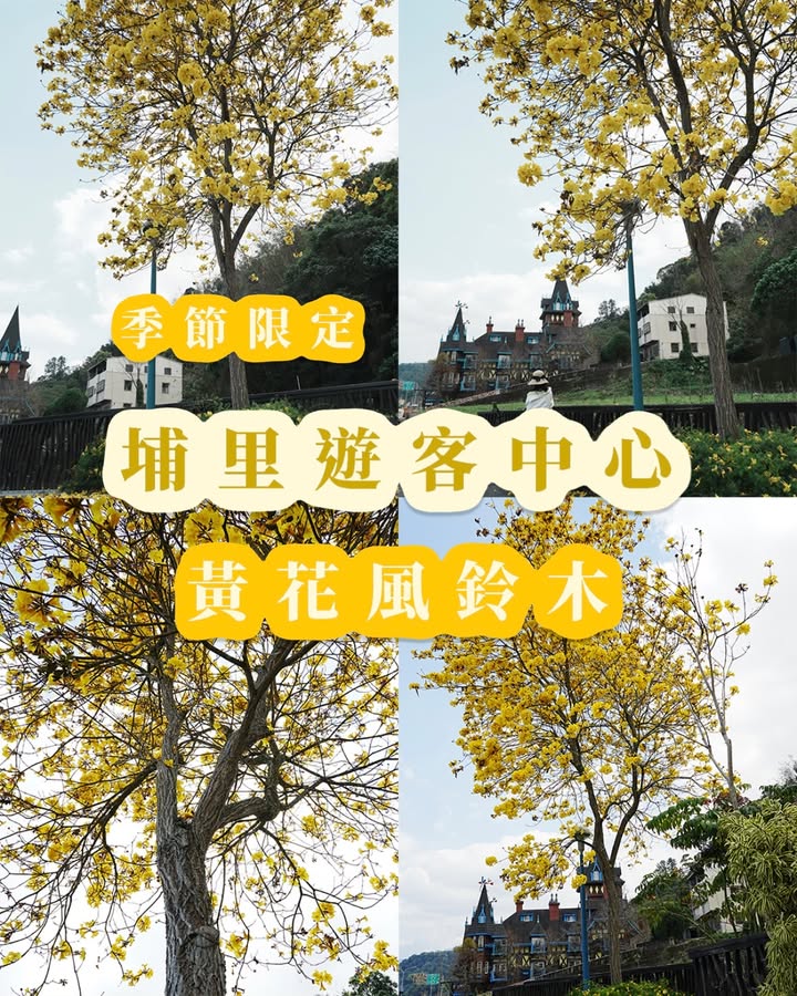 如果你有雙下巴自拍 避免由下往上拍系列9/9