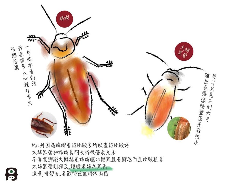 這幾天天氣真好，大家準備好迎接夏天了嗎🌤️