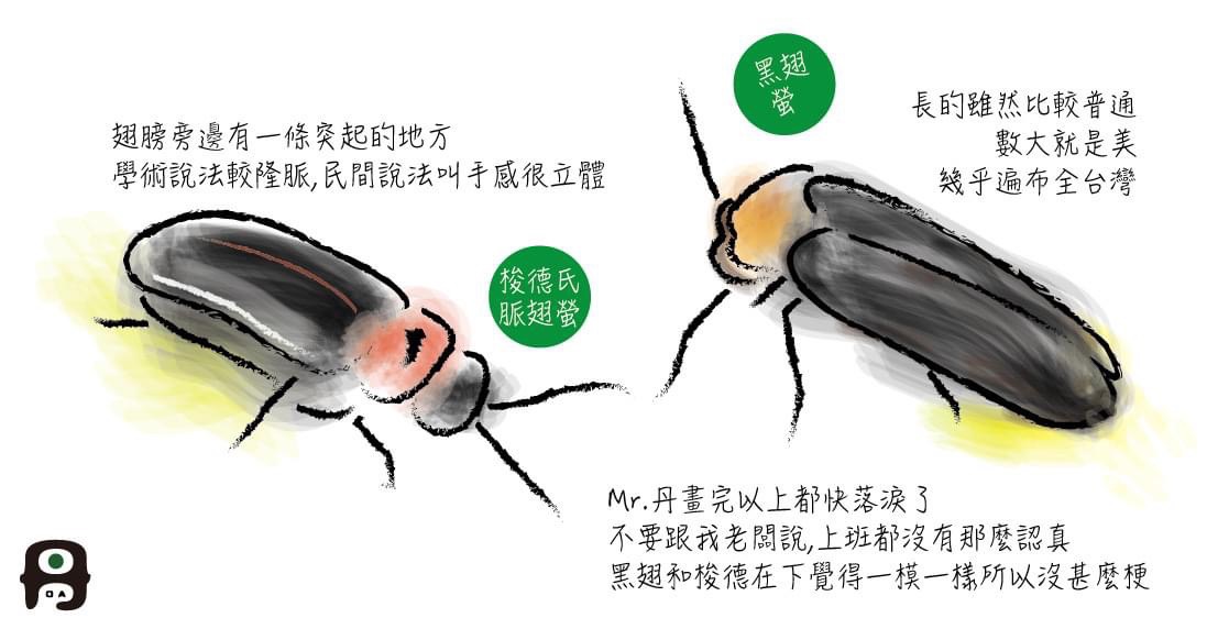 這幾天天氣真好，大家準備好迎接夏天了嗎🌤️系列2/4