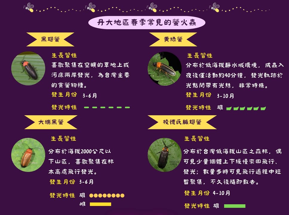 這幾天天氣真好，大家準備好迎接夏天了嗎🌤️系列3/4