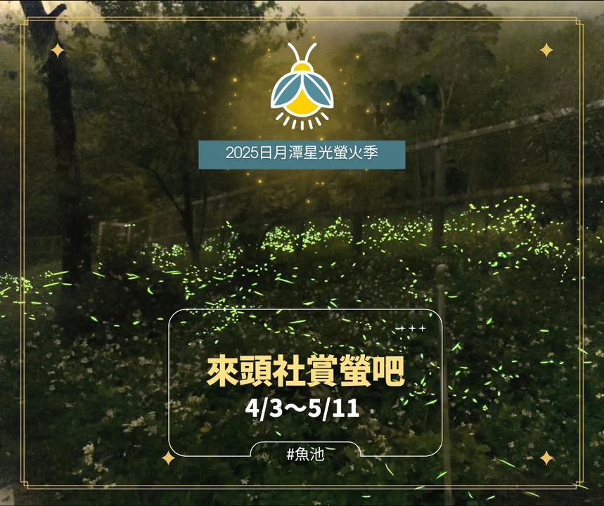 💫〚4/3～5/11來頭社賞螢🌟〛