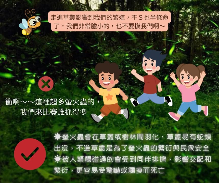 下山後的夜晚是螢火蟲活動力最旺盛的時候系列4/5