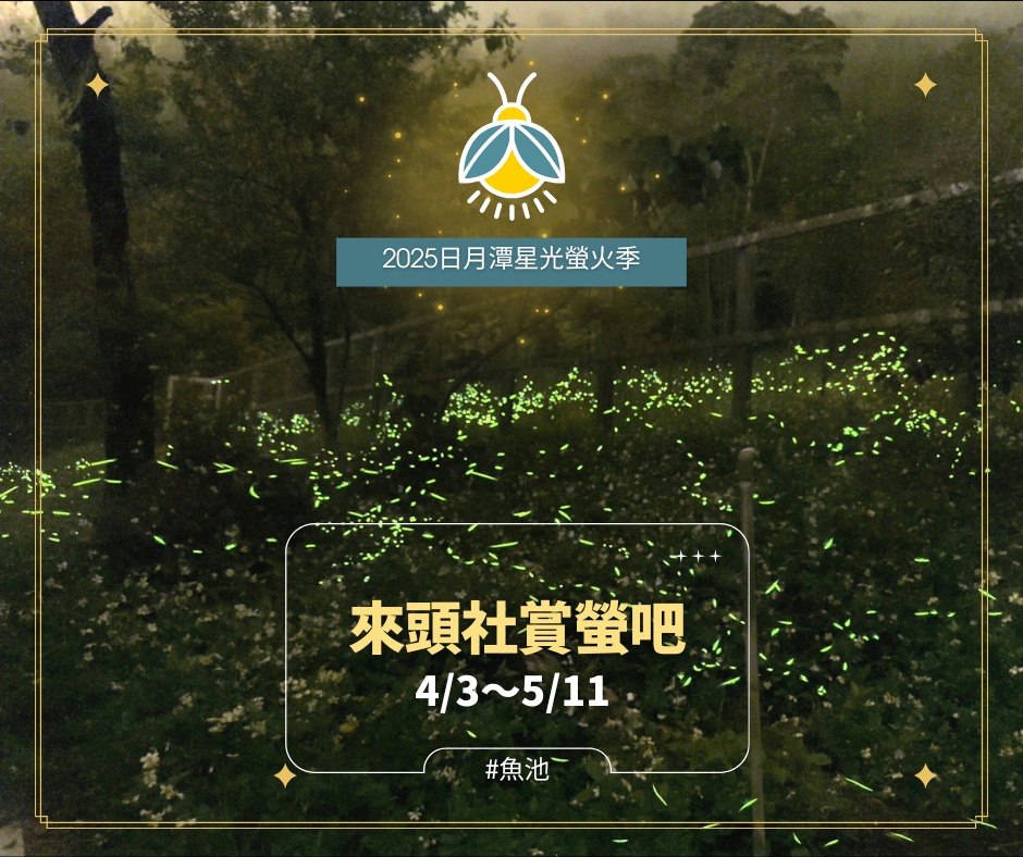💫〚4/3～5/11來頭社 #賞螢🌟〛