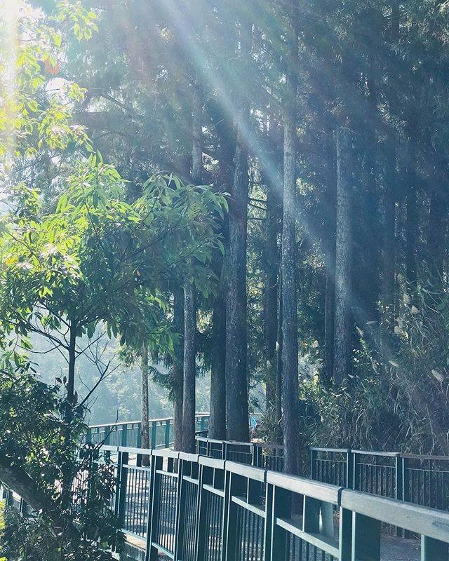 需要暖暖的太陽☀