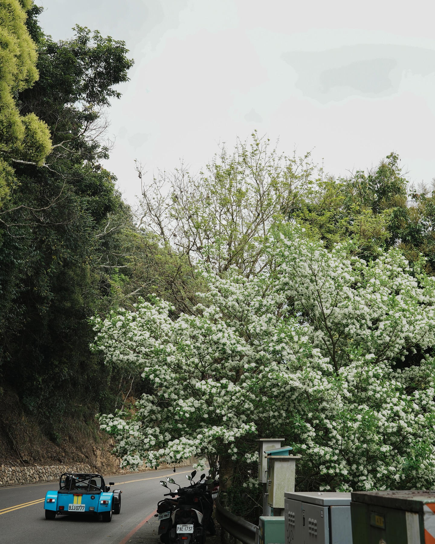 在日月潭的星巴克路口處
