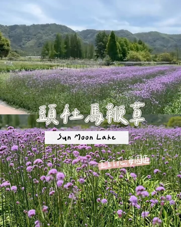 今天憂鬱星期一