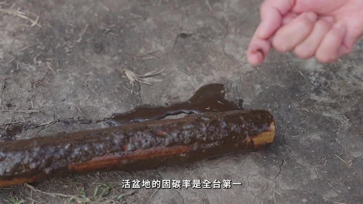 🖼〚來 #日月潭 就要玩點不一樣👏🏼〛