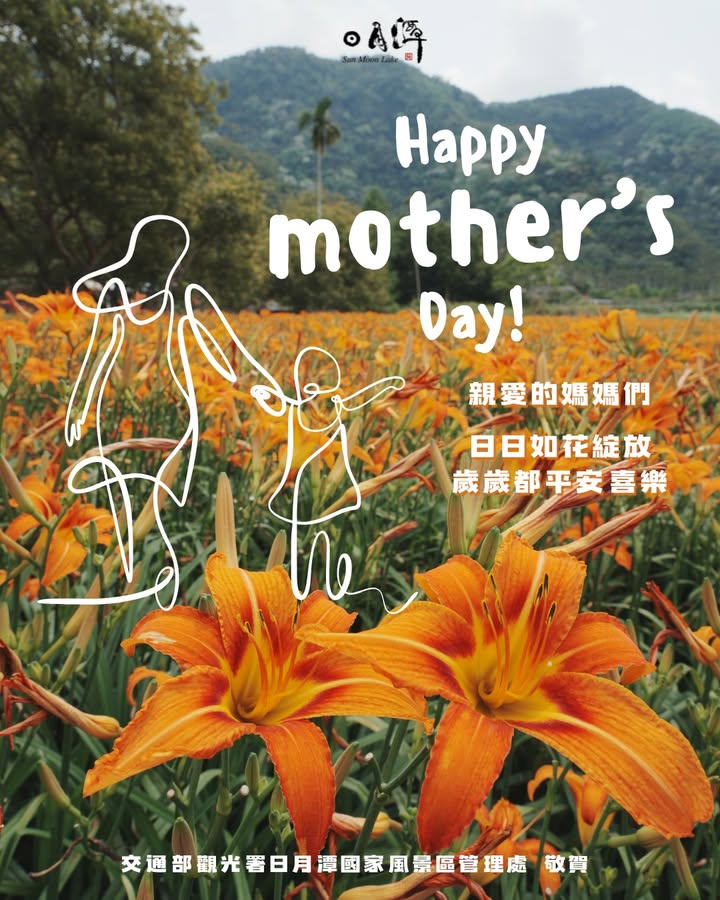 金針花開🌼 是思念也是溫柔系列1/7