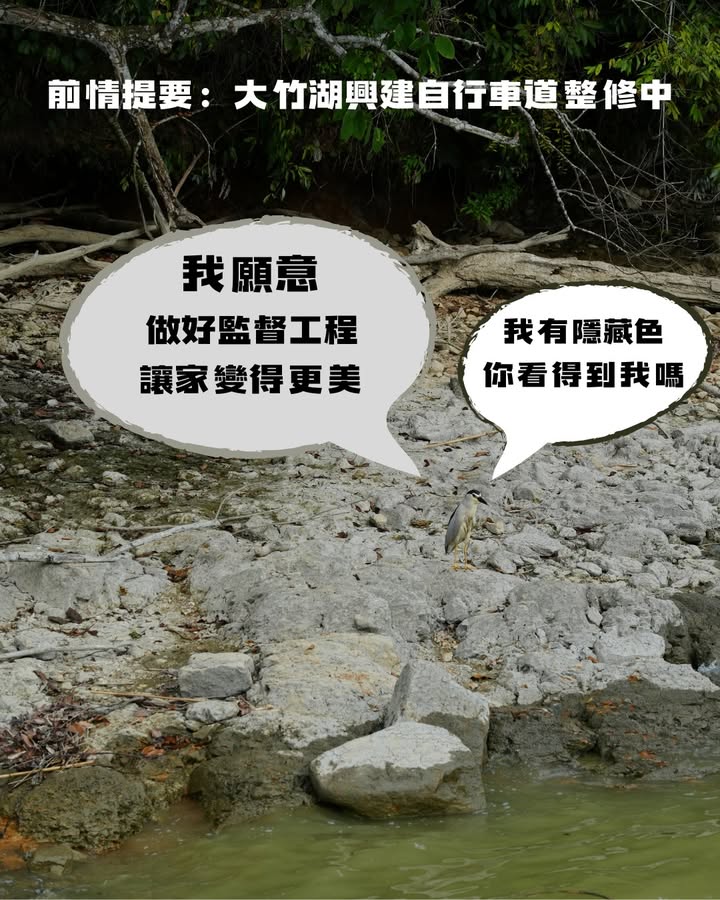 昨天520是我愛你，那今天 521？系列2/6