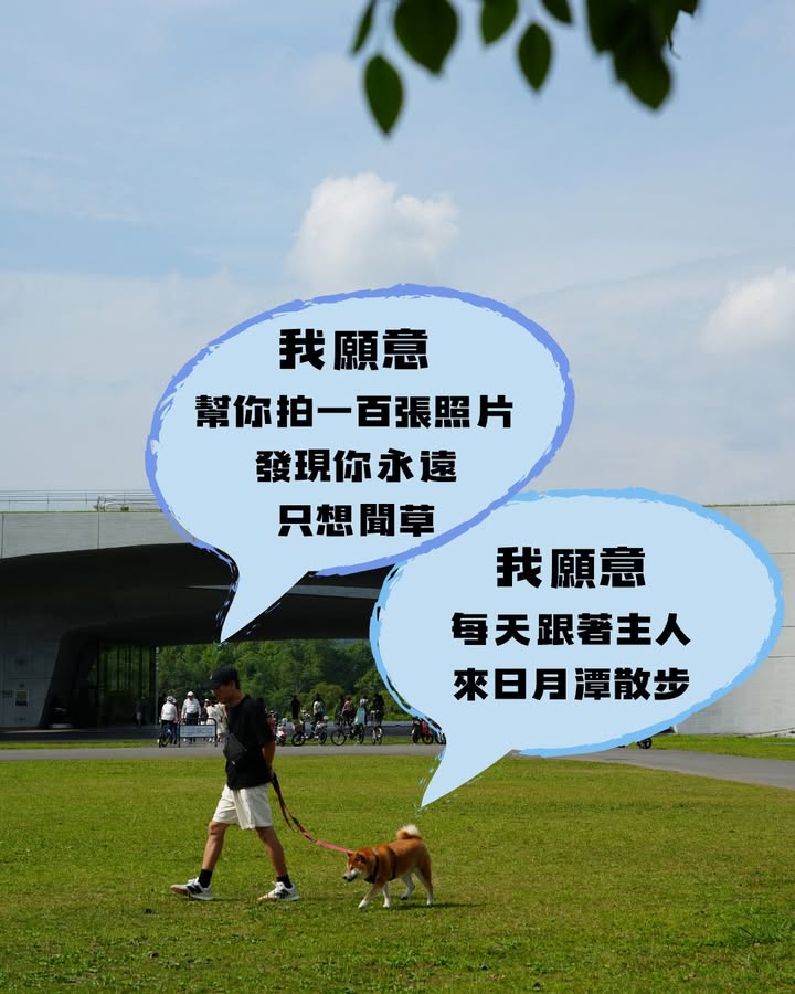 昨天520是我愛你，那今天 521？系列3/6