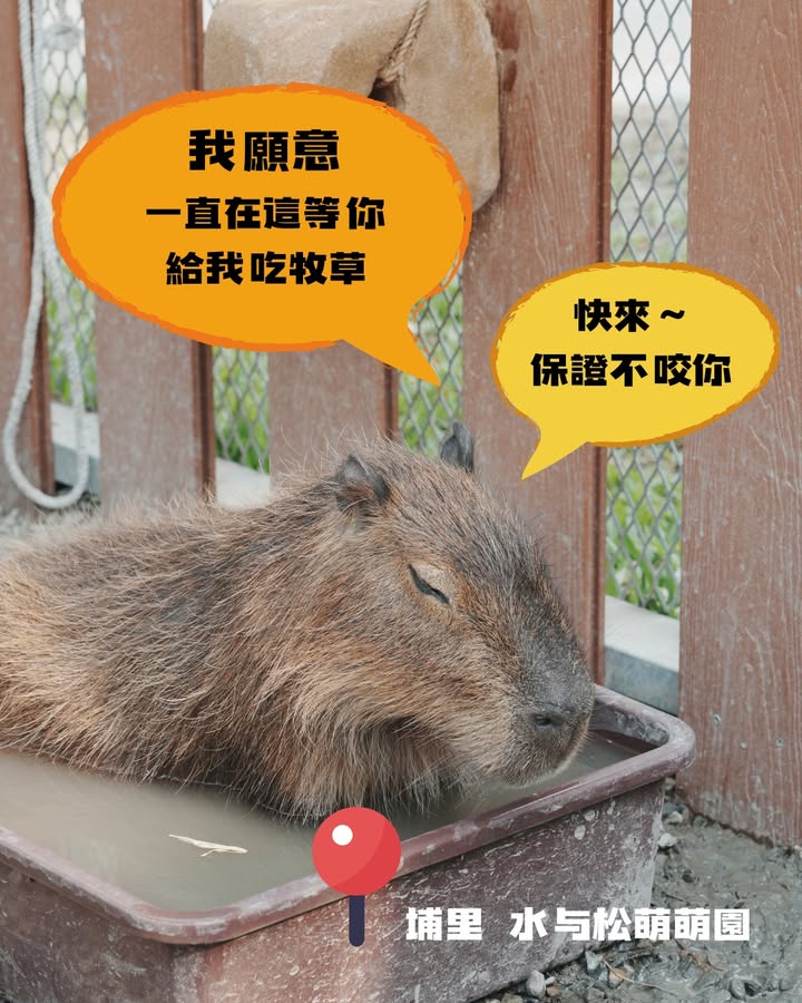 昨天520是我愛你，那今天 521？系列4/6