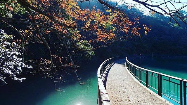 看看美景 盡情享受這段旅程