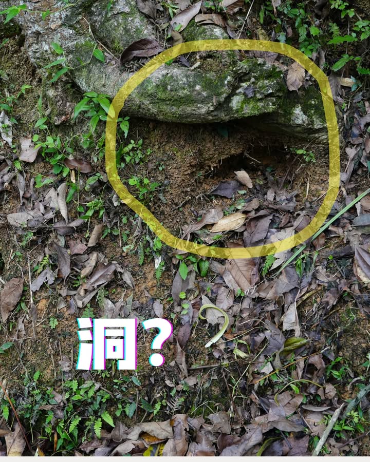 這些照片是？？？系列1/6