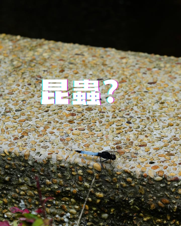 這些照片是？？？系列3/6