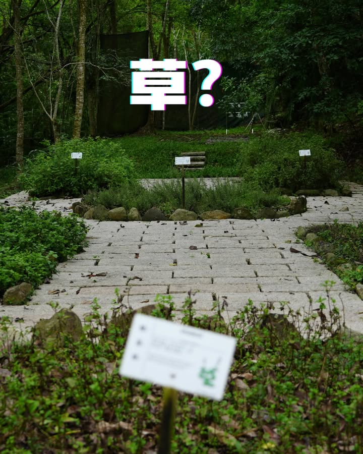 這些照片是？？？系列5/6